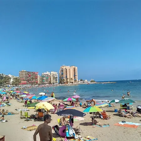 Blue Sea تورّيفيِخا